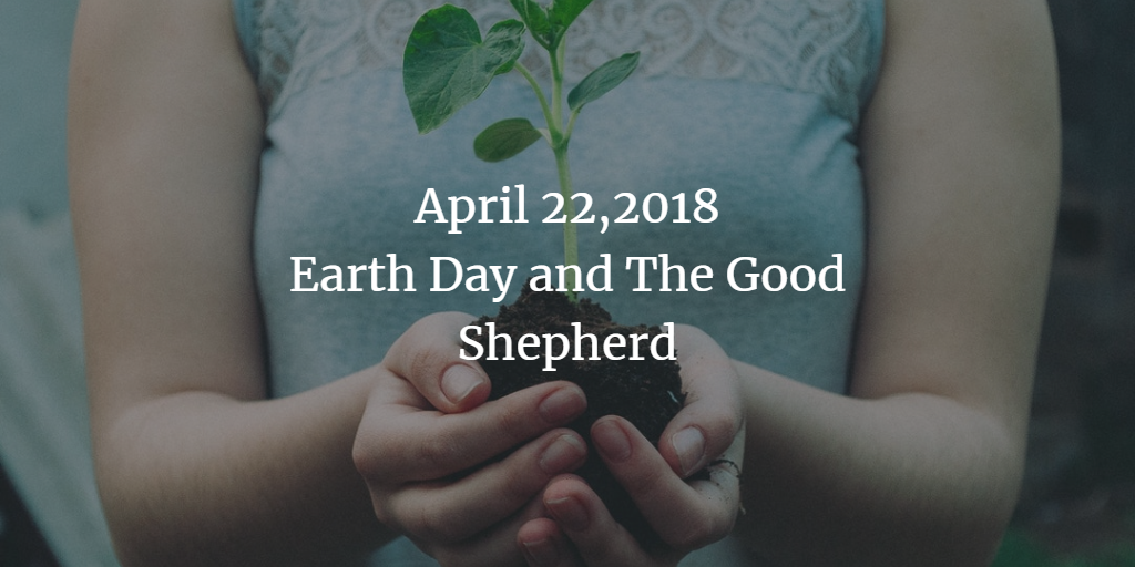Homily for April 22,2018 Earth Day and The Good Shepherd - Deacon Anne Anchor